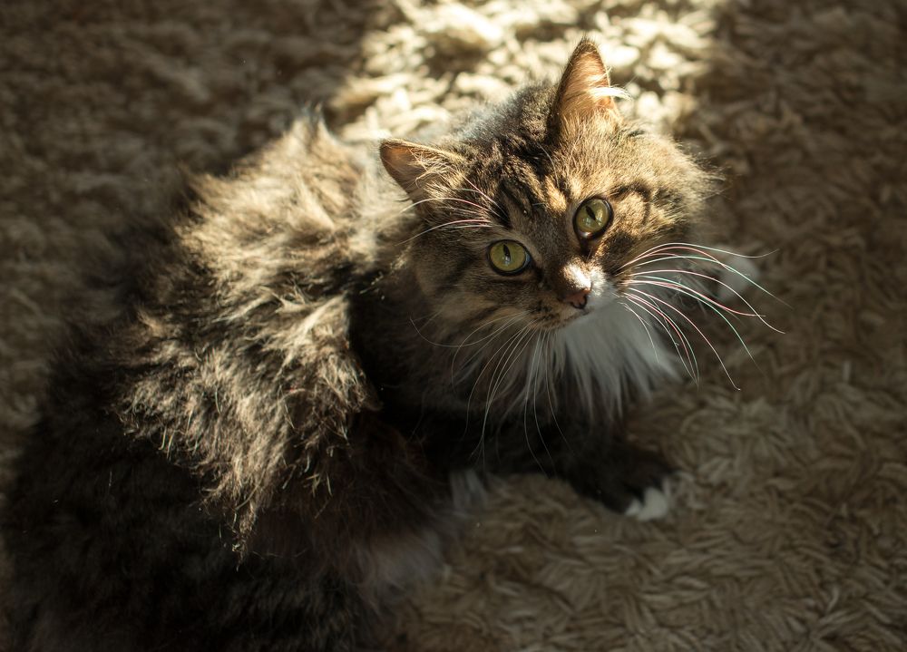 Photograph by Юлия Барсукова