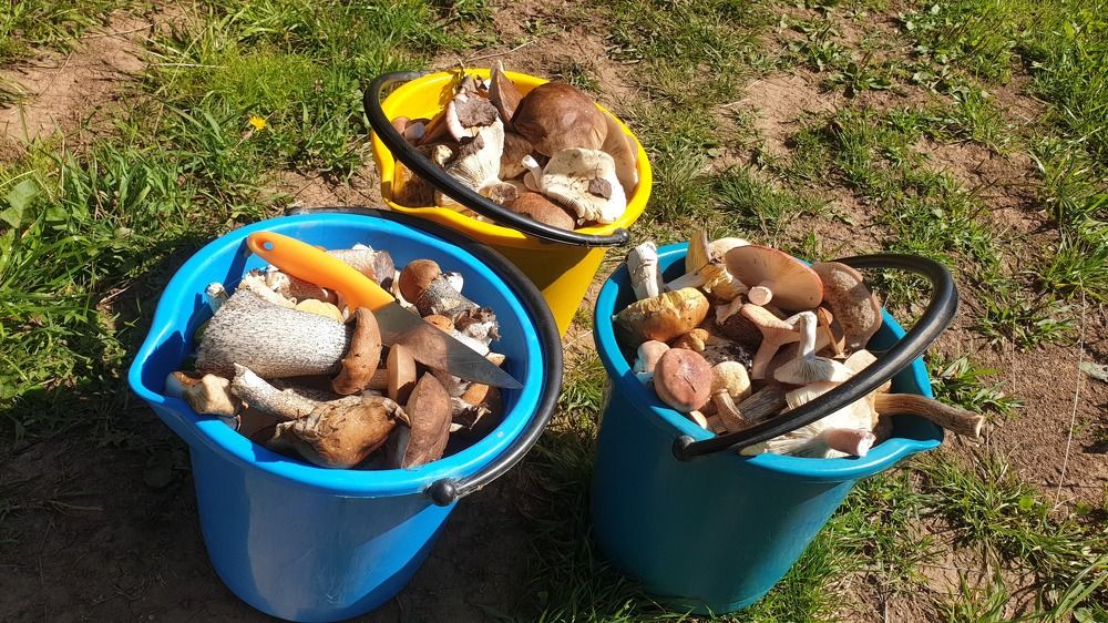 Photograph by Руслан Яроцкий