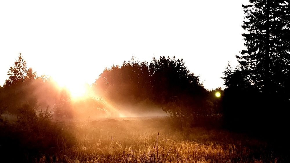 Photograph by Руслан Яроцкий