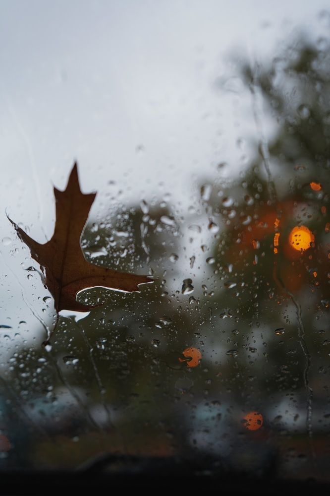 Photograph by Ekaterina Sukhanova