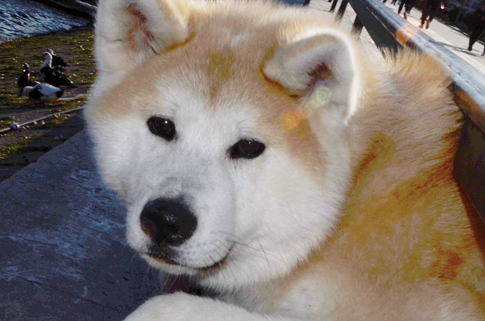 Photograph by Suzana Cakciri