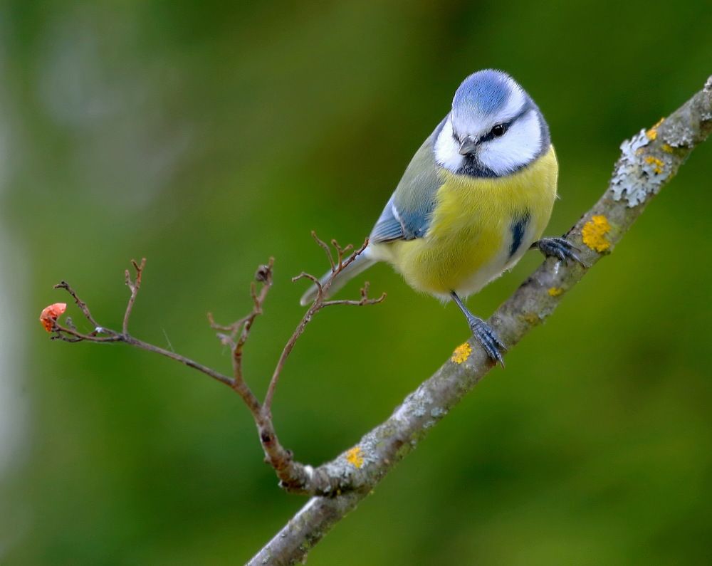 Photograph by Андрей Брагин