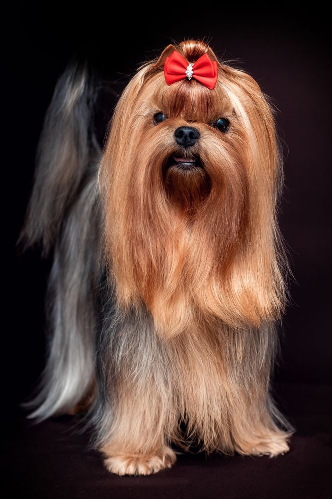 Photograph by Ольга Лазиева