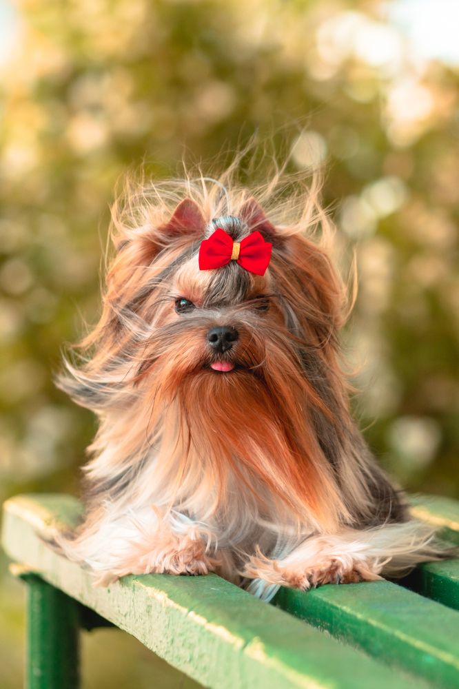 Photograph by Ольга Лазиева