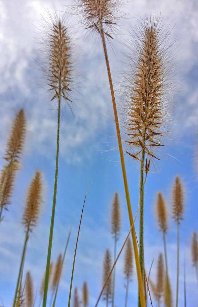 Photograph by Елена Куха