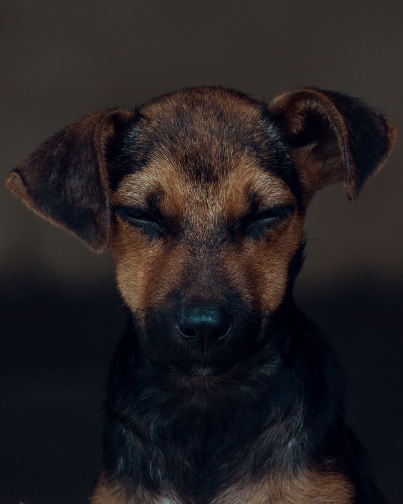 Photograph by Aidan Saeni