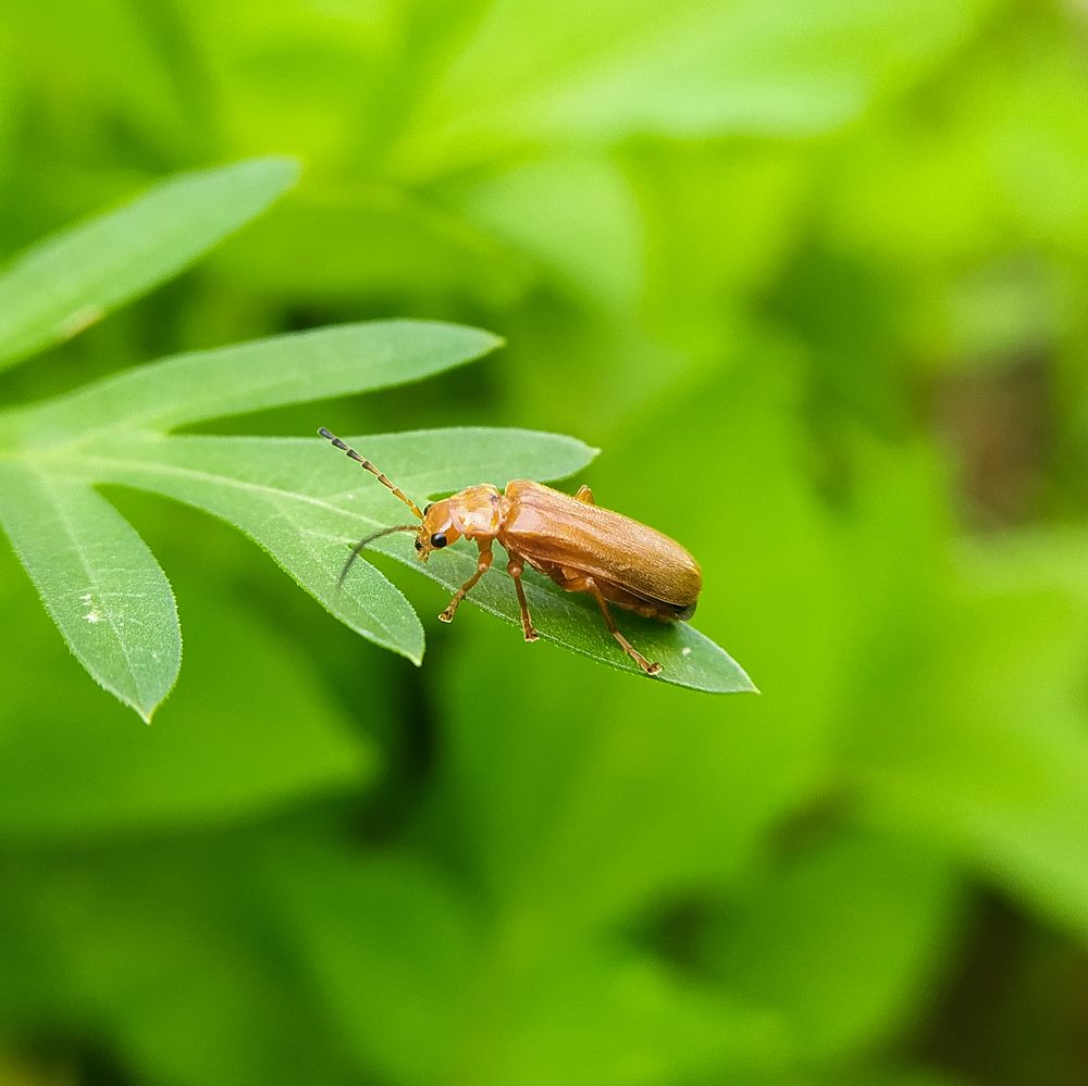 Photograph by HariKrishnan ms