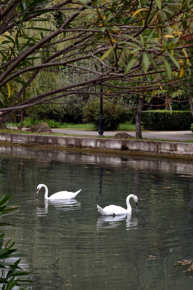 Photograph by Орлова Сетлана