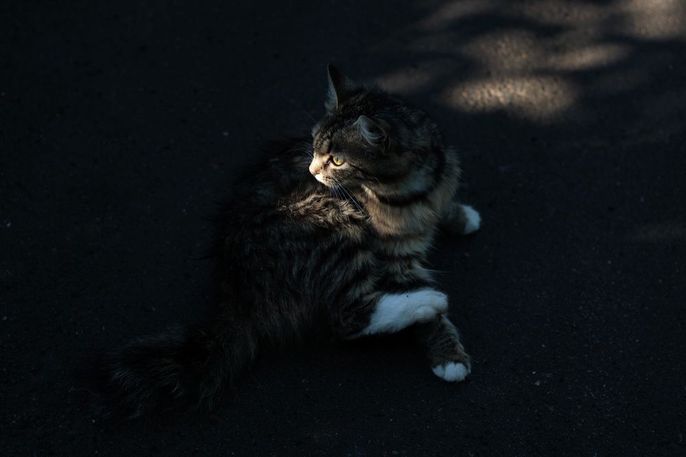 Photograph by Инна Карасева