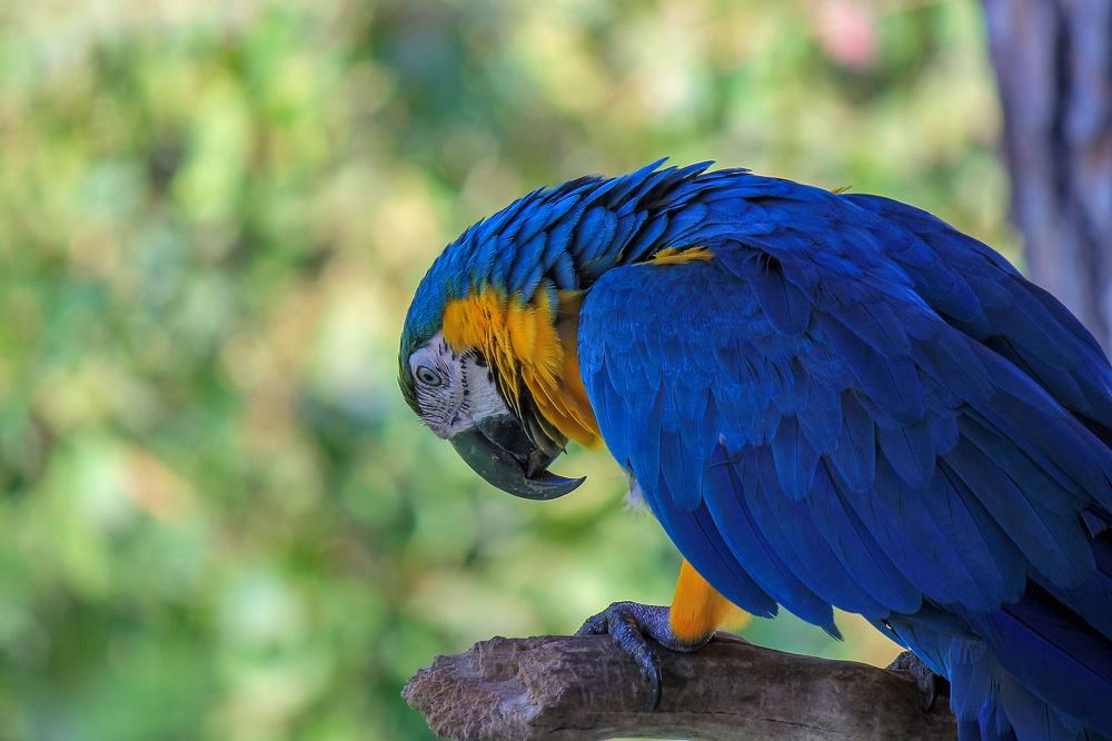 Photograph by Ильдар Гарифуллин