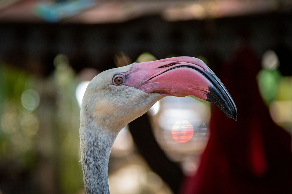 Photograph by Ильдар Гарифуллин