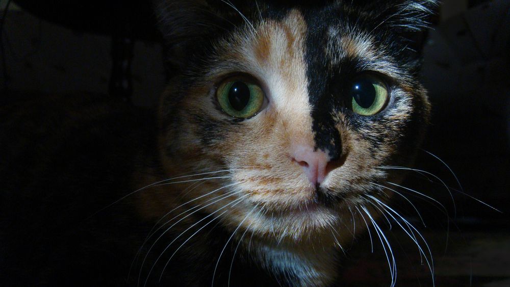 Photograph by Tatevik Tananyan