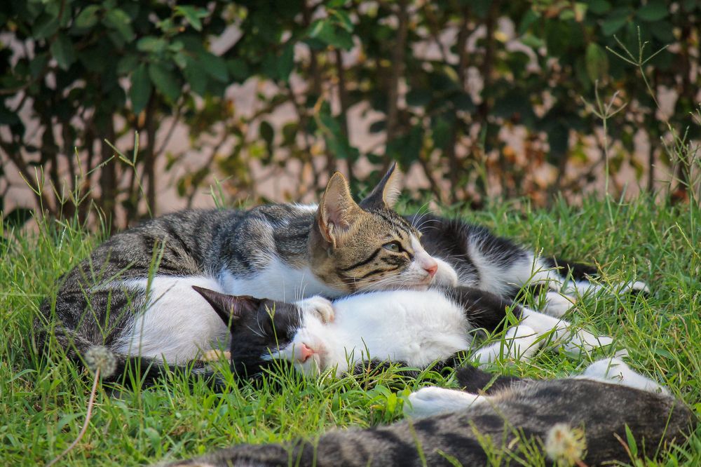 Photograph by Ильдар Гарифуллин