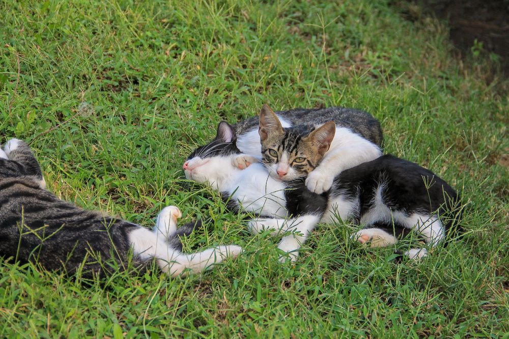 Photograph by Ильдар Гарифуллин