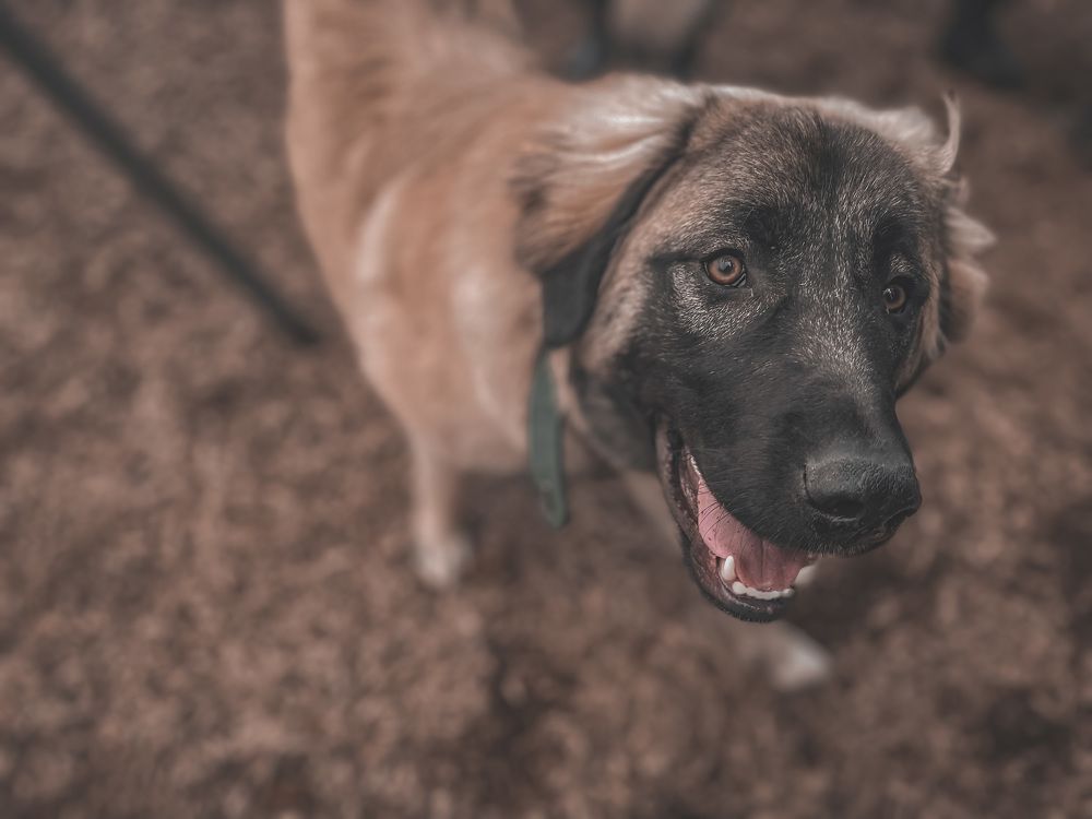 Photograph by Natalia Everatt