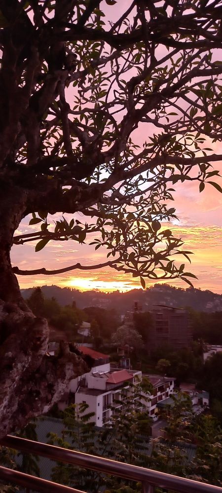 Photograph by Thilantha Abeysinghe