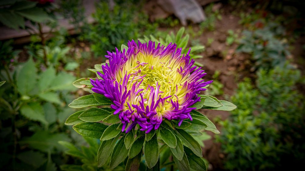 Photograph by Ильдар Гарифуллин