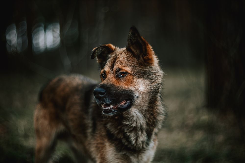 Photograph by Александр Соловьев