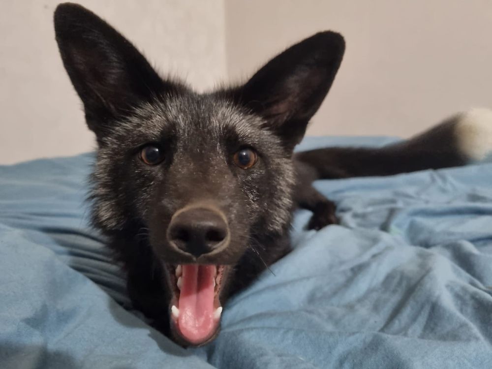 Photograph by Алиса