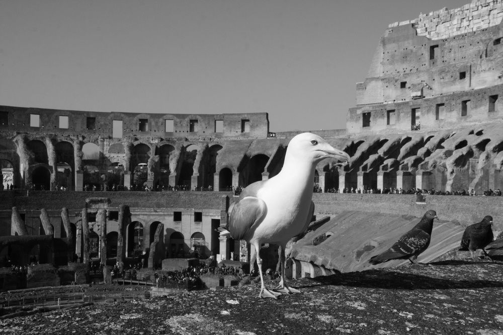 Photograph by Nadezhda Bakina