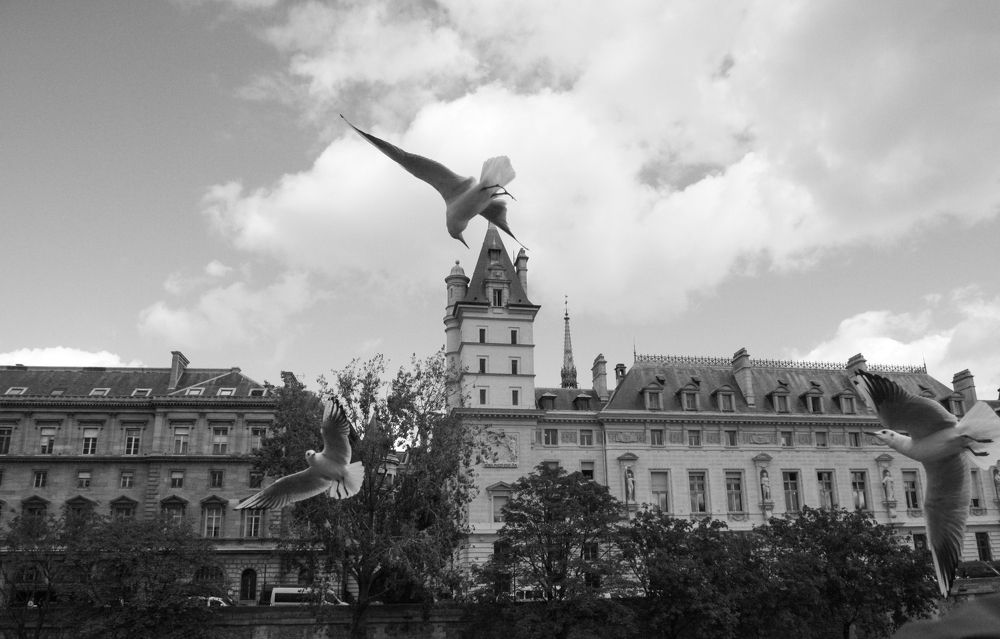 Photograph by Nadezhda Bakina