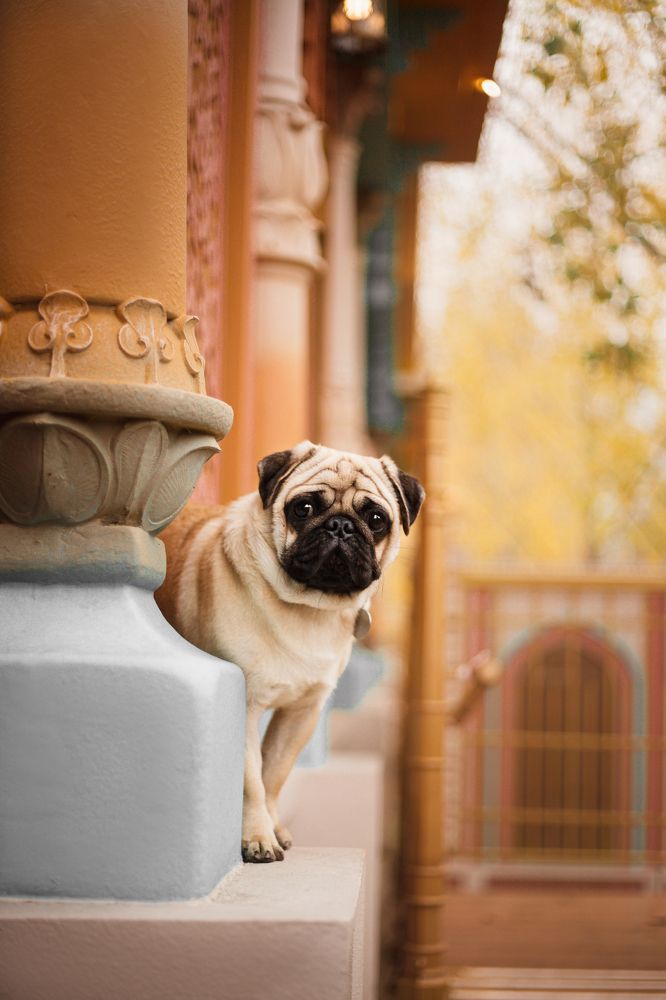 Photograph by Татьяна Степанова