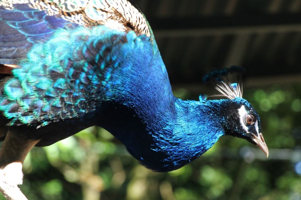 Photograph by Mauricio Mora Flores