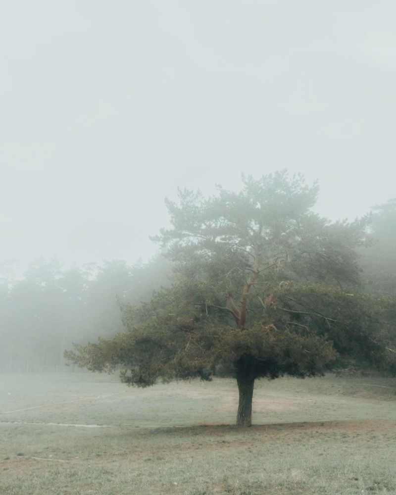 Photograph by Дмитрий Кашиков