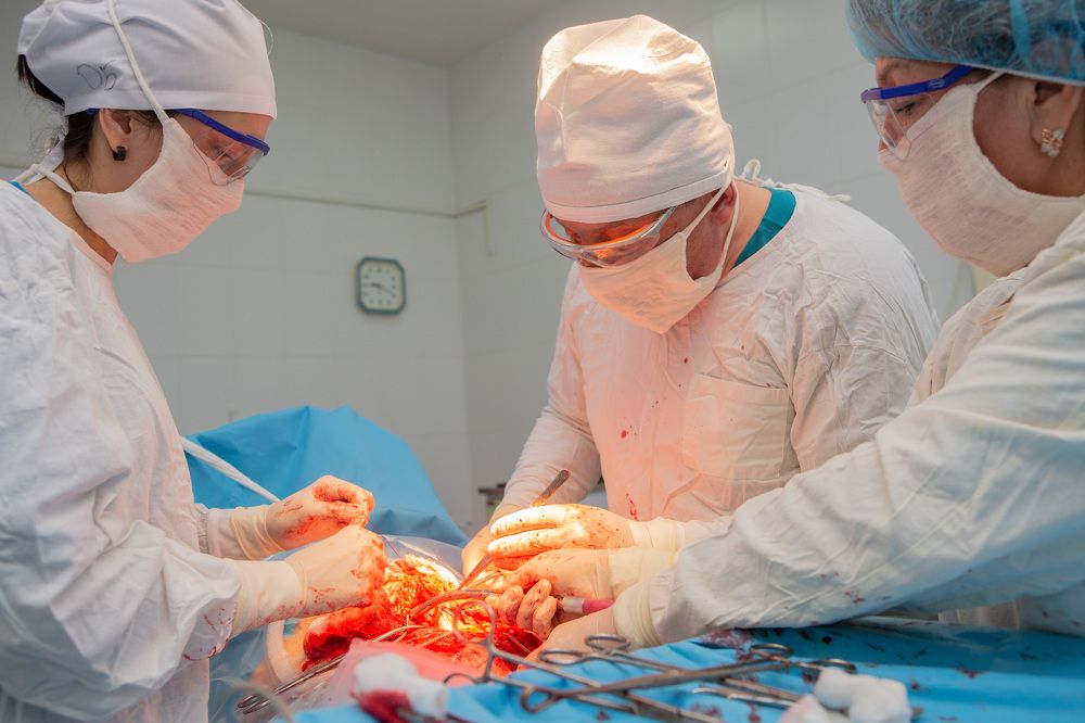 Photograph by Монастырев Олег