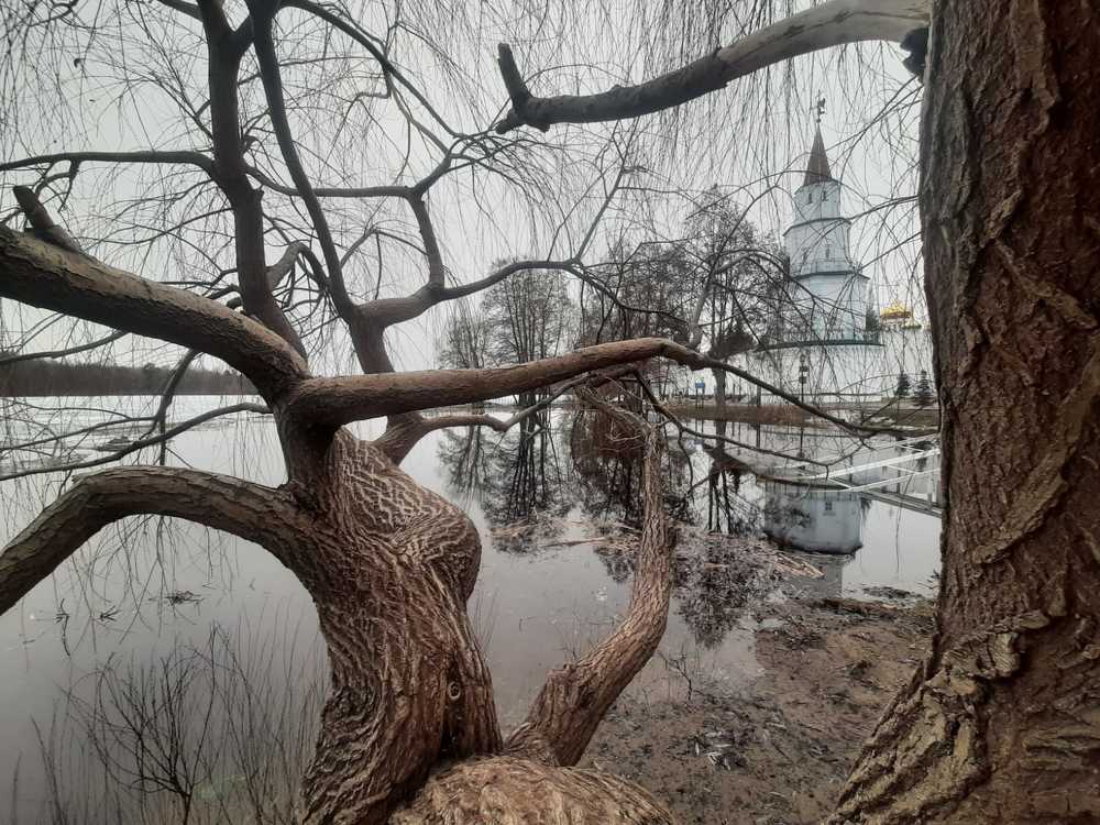 Фотография автора Владимир