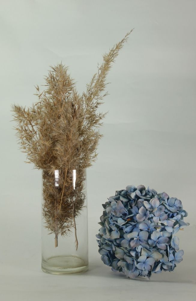 Photograph by Витольда Осина