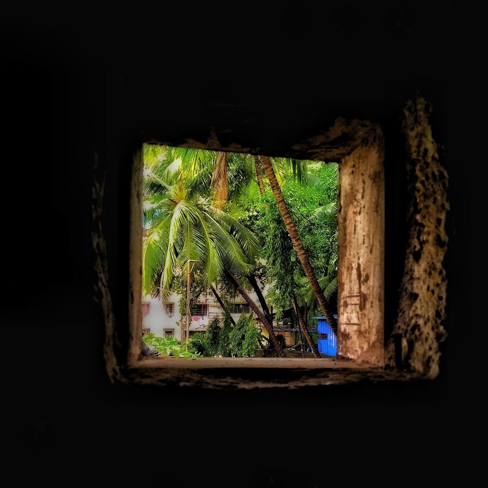 Photograph by Romil Gondaliya
