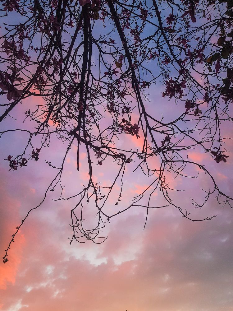 Photograph by Oksana Korogodin