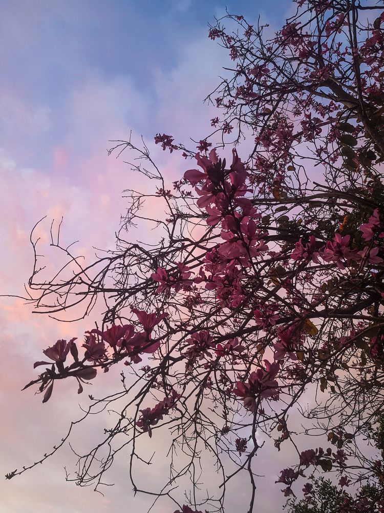 Photograph by Oksana Korogodin