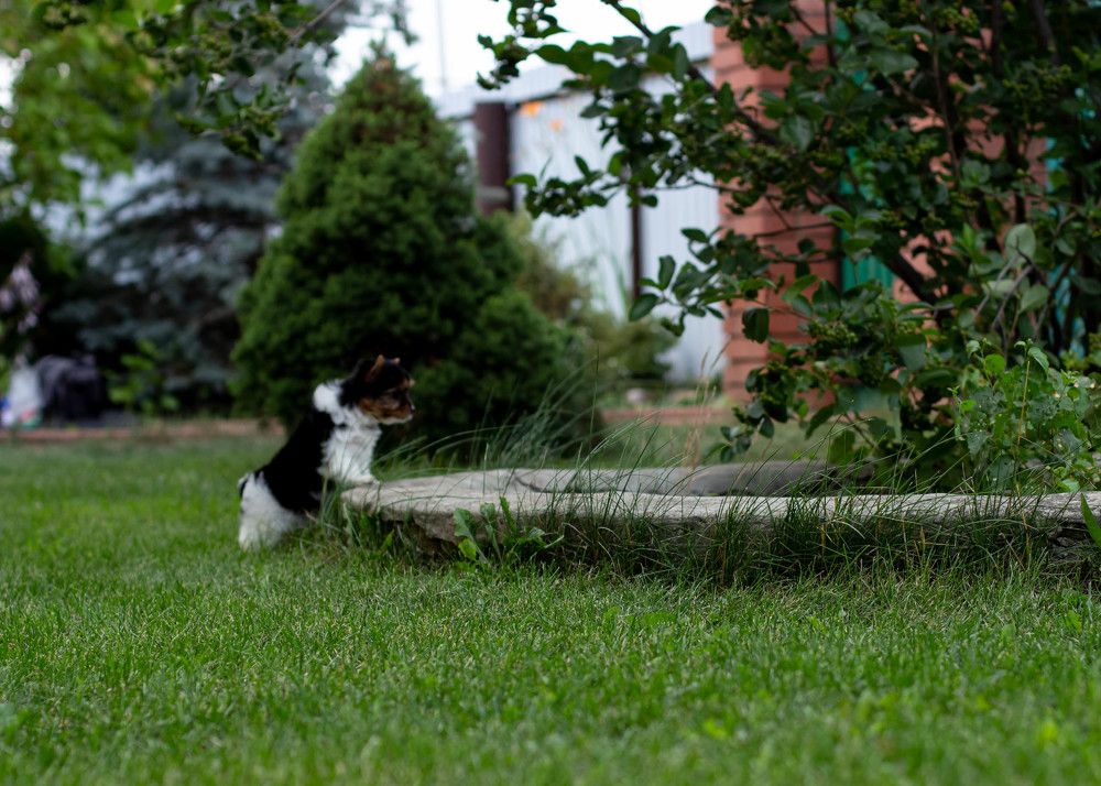 Photograph by Нина Аристова