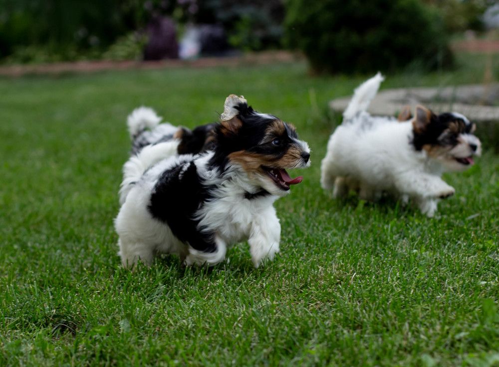 Photograph by Нина Аристова