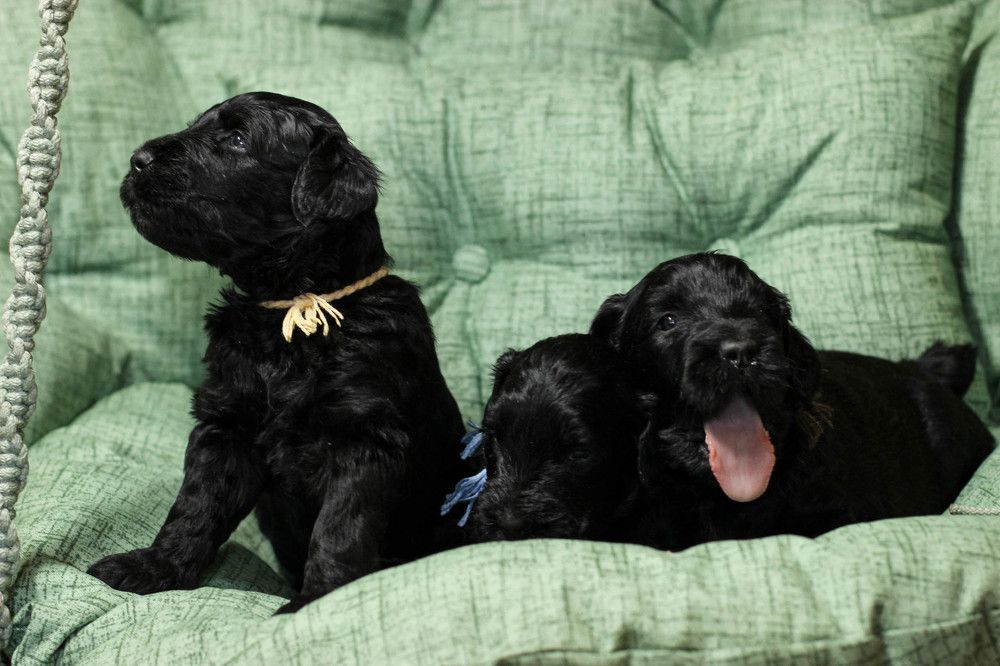 Photograph by Нина Аристова