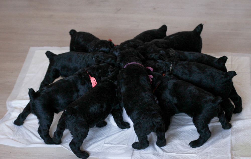 Photograph by Нина Аристова