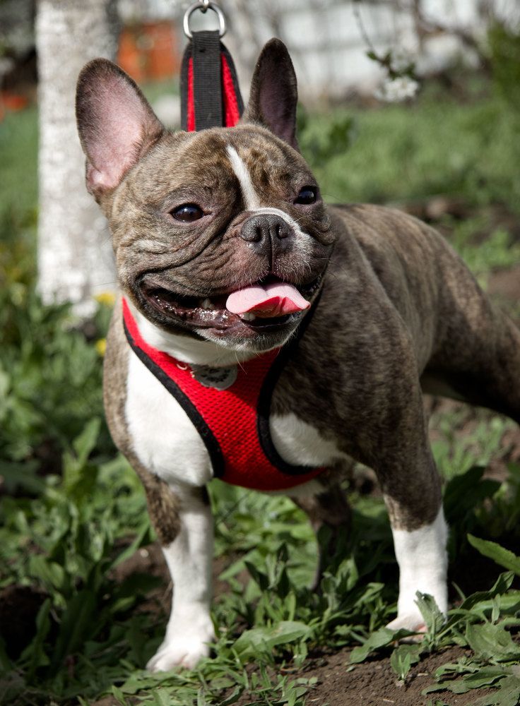 Photograph by Нина Аристова