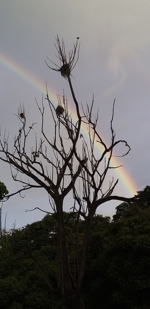 Photograph by Jorge Lima