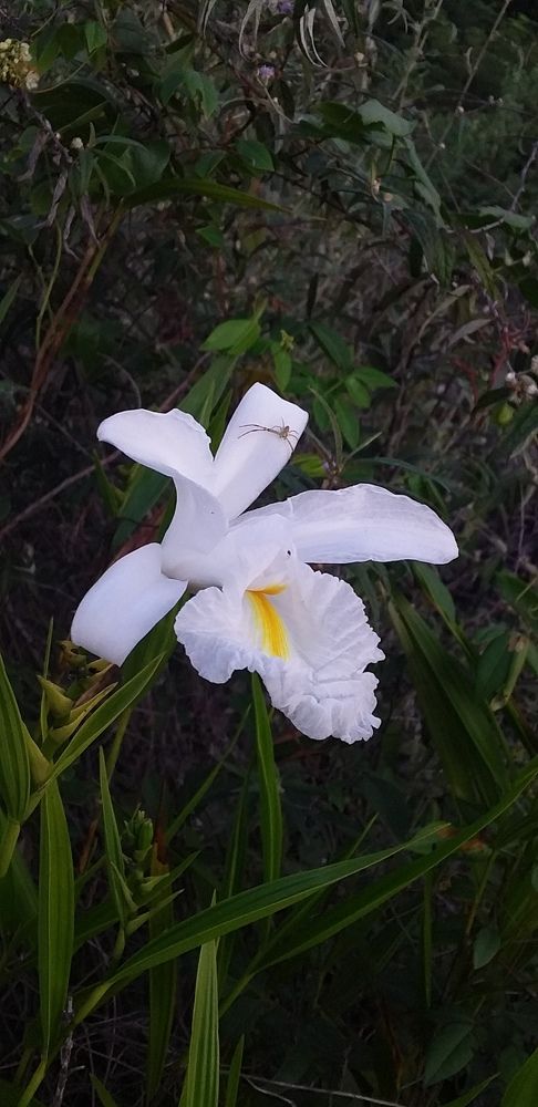 Photograph by Jorge Lima