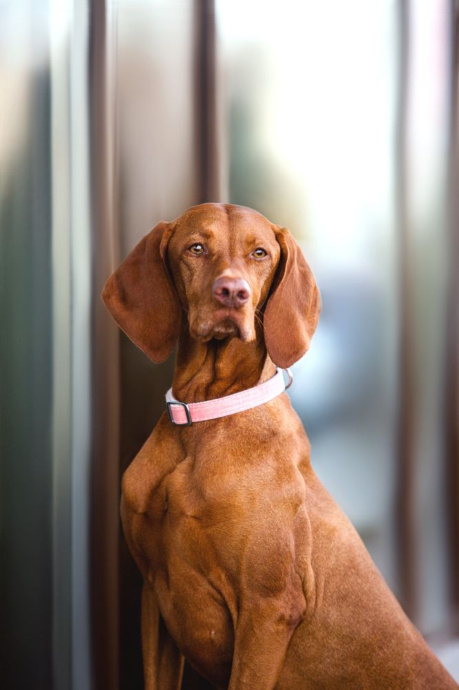 Photograph by Аня Егоренкова