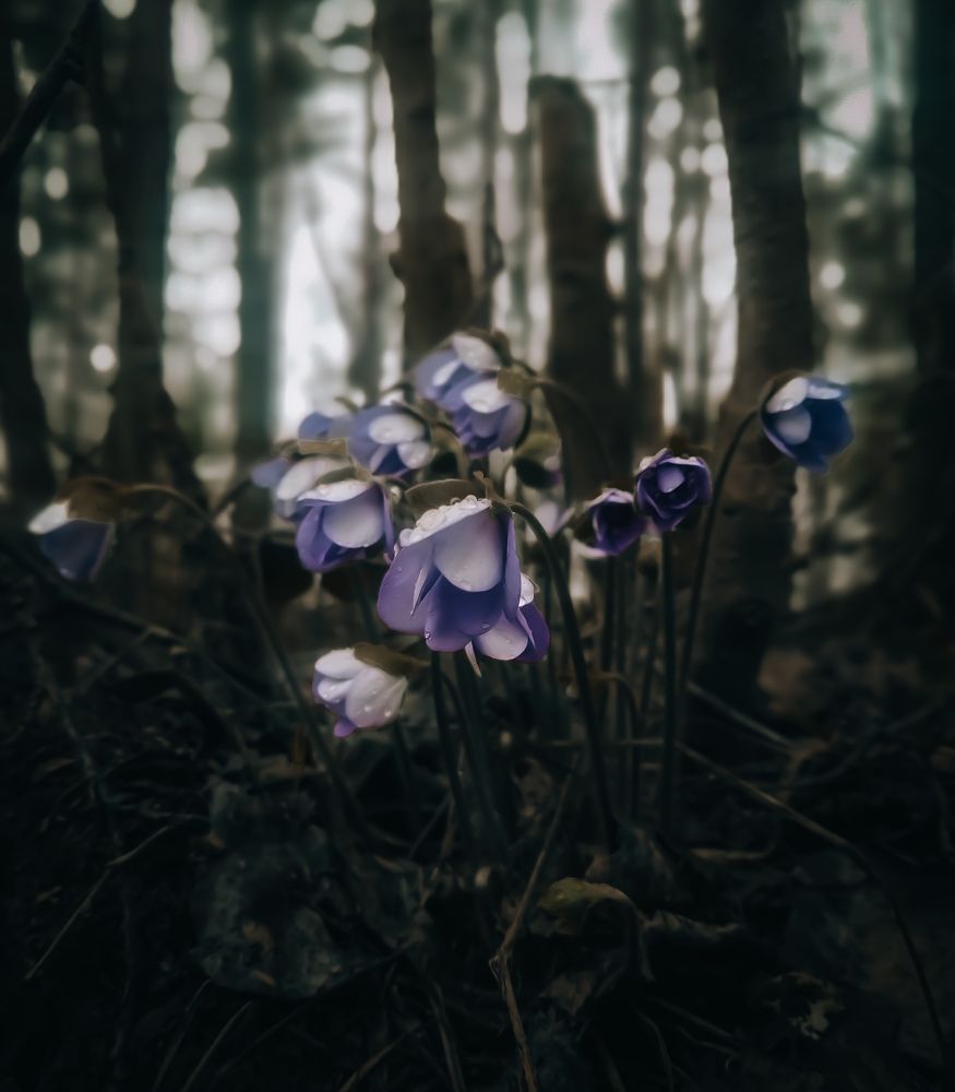 Photograph by андрей мелета