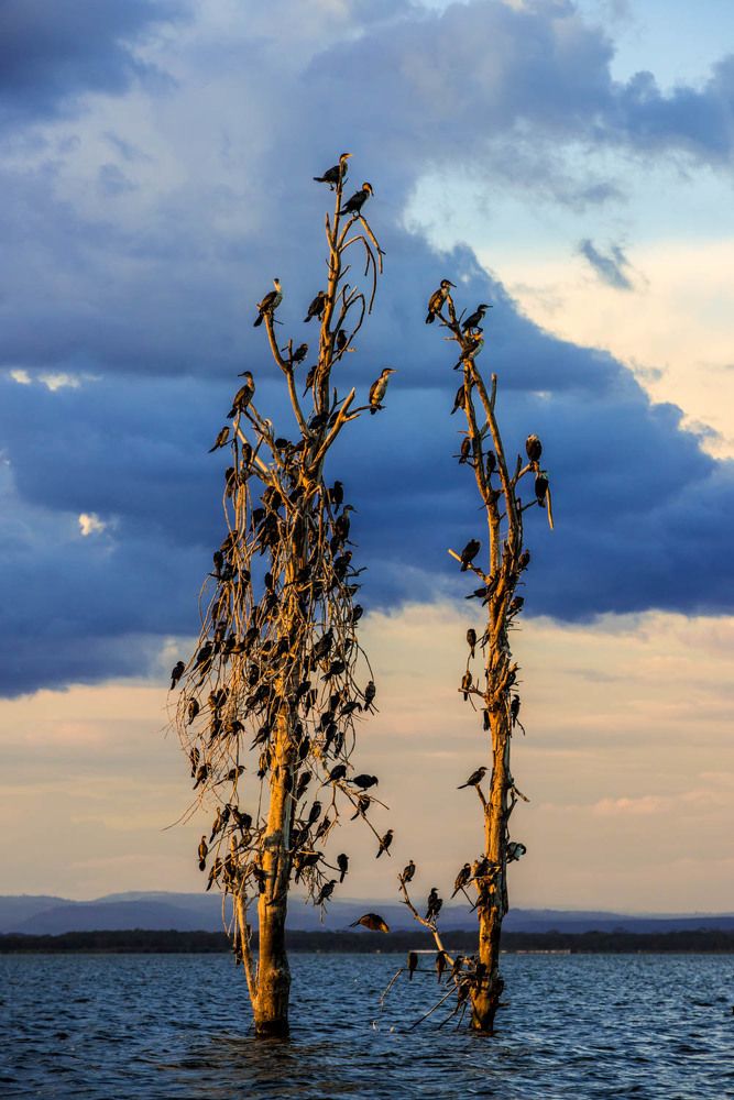 Photograph by Катя Катюнина