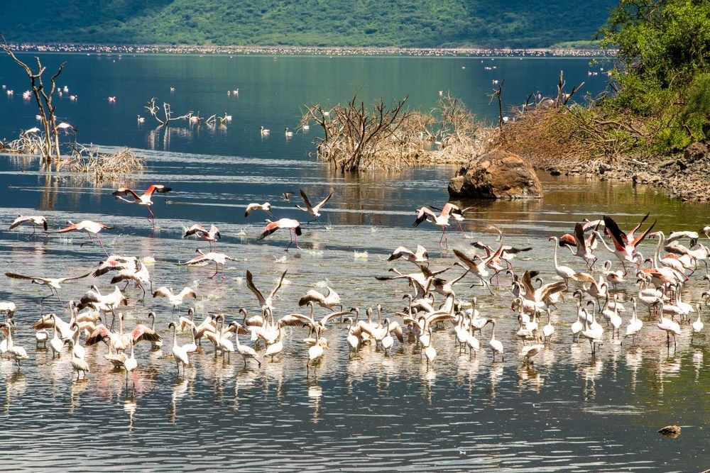 Photograph by Катя Катюнина