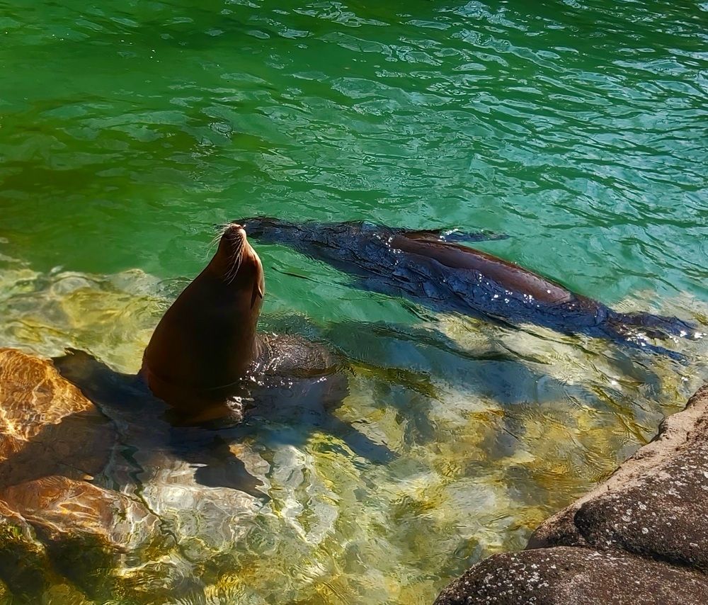 Photograph by Rina Faktor