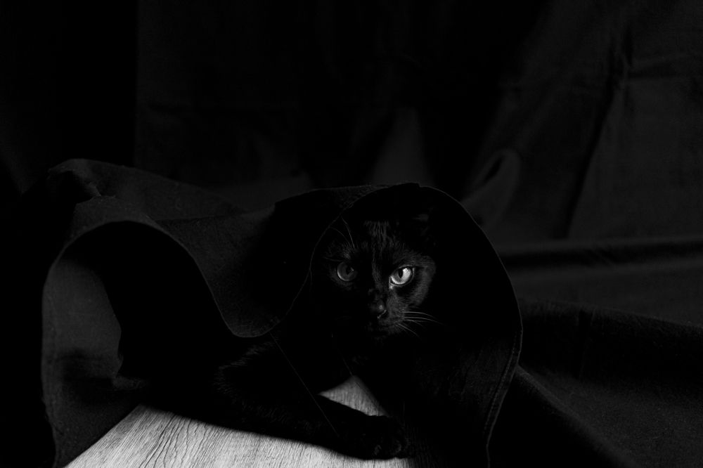 Photograph by Ольга Кушнарева