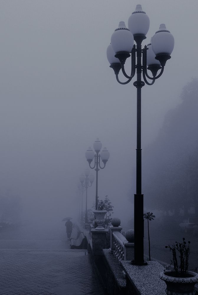 Photo #7530719