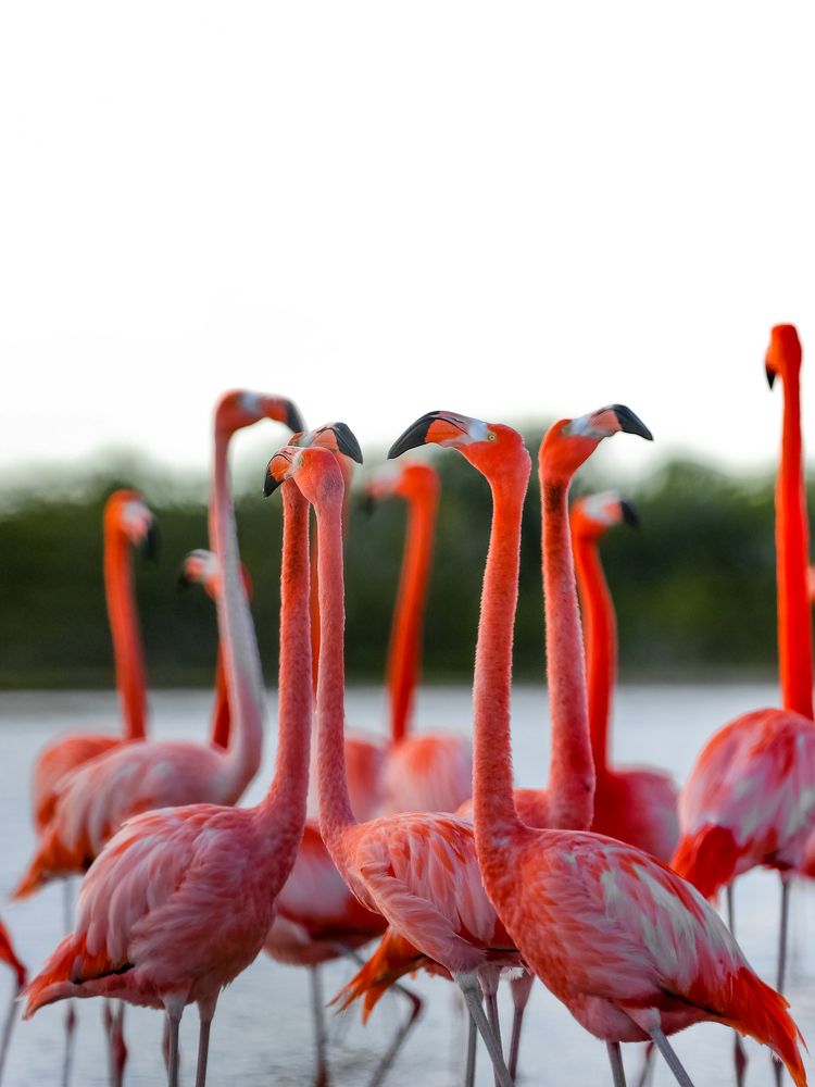 Photograph by Rondel Smith