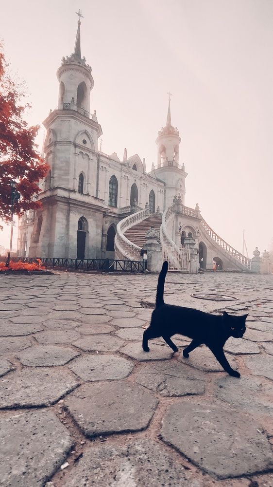 Photograph by Артем Воробьев